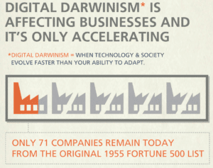 digital-darwinism-affecting-drug-rehab-SEO-and- ma