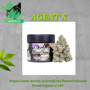 _AGENT X.png