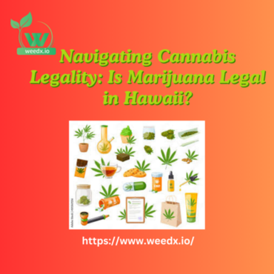 Is Marijuana Legal in Hawaii .png