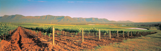 Hunter Valley Private Tours.jpg