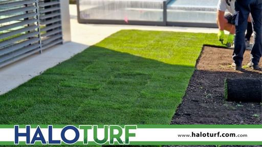 Residential turf in Los Alamitos, CA.jpg