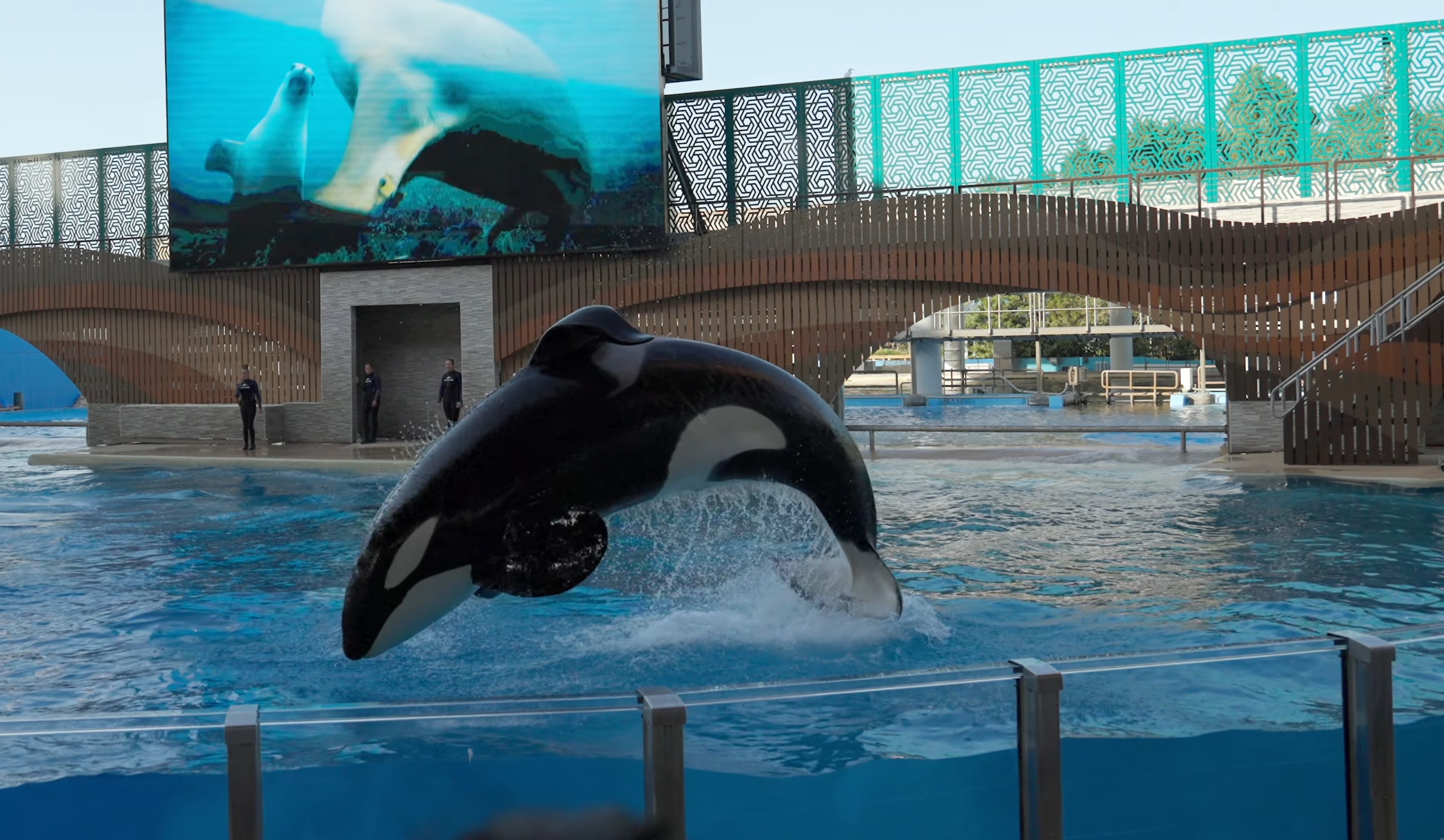 SeaWorld Orlando at 19 minutes drive to the south of Orlando dentist Lake Lucerne Cosmetic and Implant Dentistry SeaWorld Orlando at 19 minutes drive to the south of Orlando dentist Lake Lucerne Cosmetic and Implant Dentistry