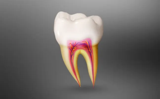 The Hidden Dangers of Avoiding a Root Canal Treatm