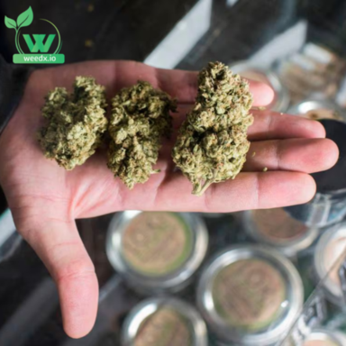 weed delivery brooklyn (18).png