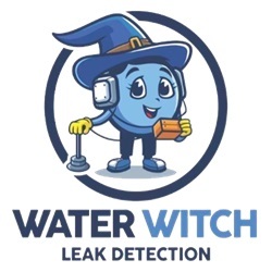 About - Water Witch Leak Detection - Phoenix, AZ