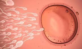 Male Infertility Treatment (2).jpg
