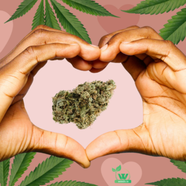 weed delivery nyc  (3).png