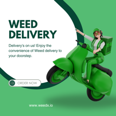 The Rise of Weed Delivery in San Francisco