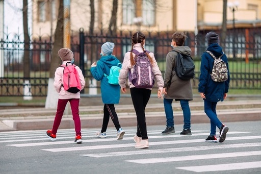 school-childrens-cross-the-road.jpg
