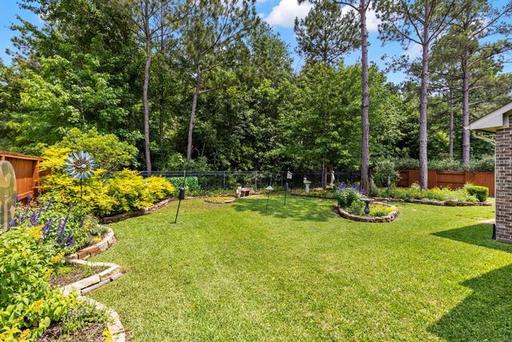 20.jpeg